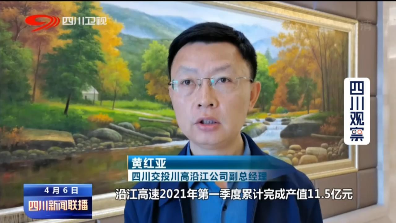 2025全年資料免費大全详细解答、解释与落实