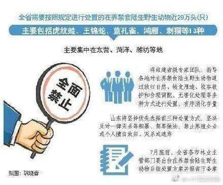 2025年正版资料免费大全的警惕虚假宣传-全面释义、专家精准解释与落实
